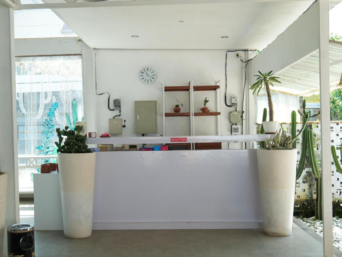 Cactus Guest House Borobudur Magelang Extérieur photo